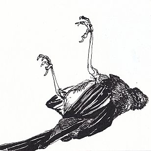 prey (cat)  Japanese ink app. 15 × 21 cm 