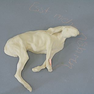 Esst mehr Möhren 