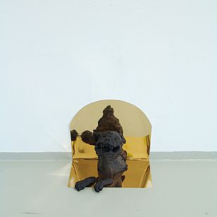 Höllenhund 
