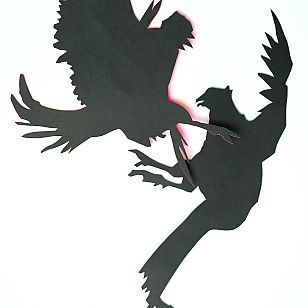 clash - birds 