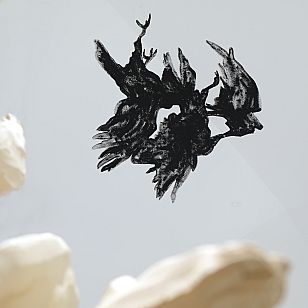 clash-birds/19 